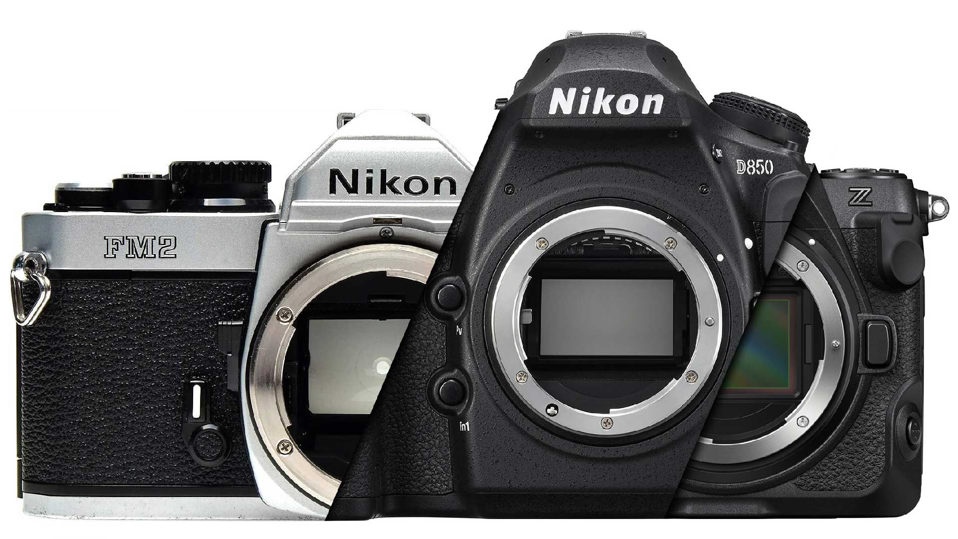 Nikon Company and Camera History